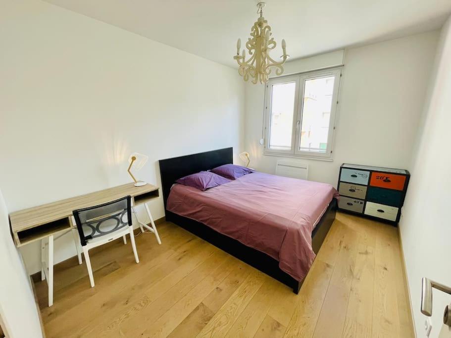 Comfortable, Cozy, Chill, Spacious, Near Cathedral Apartment