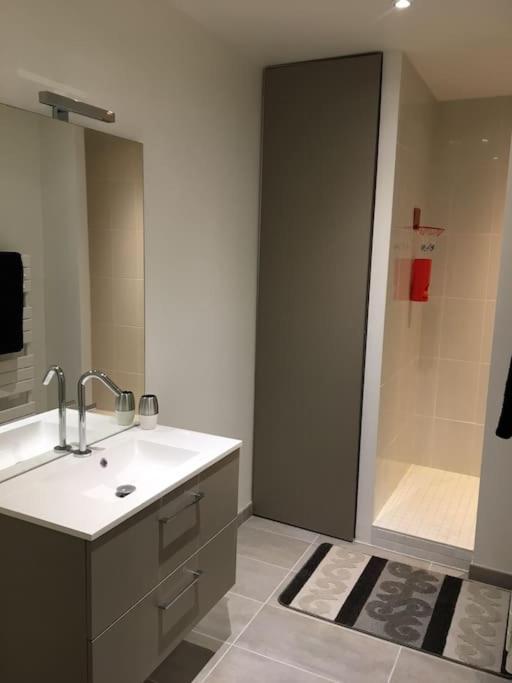 Comfortable, Cozy, Chill, Spacious, Near Cathedral * Reims