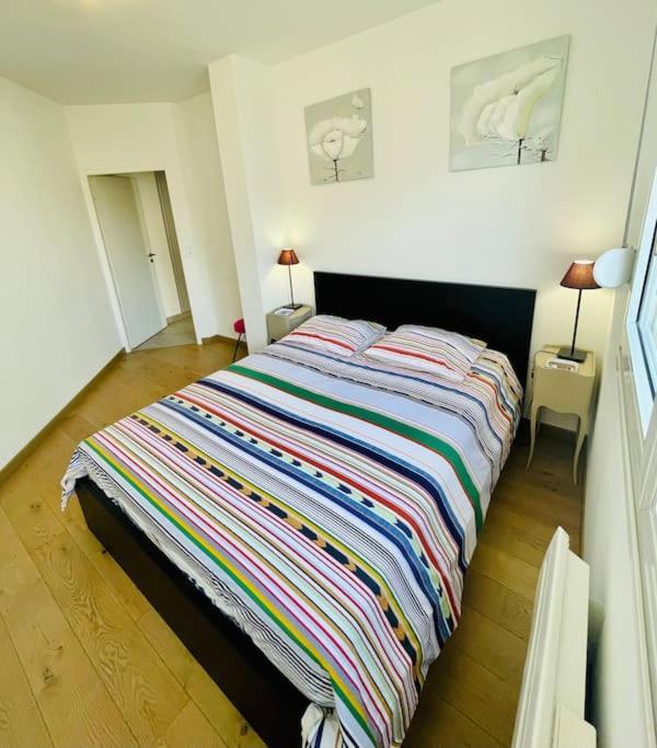 Comfortable, Cozy, Chill, Spacious, Near Cathedral *