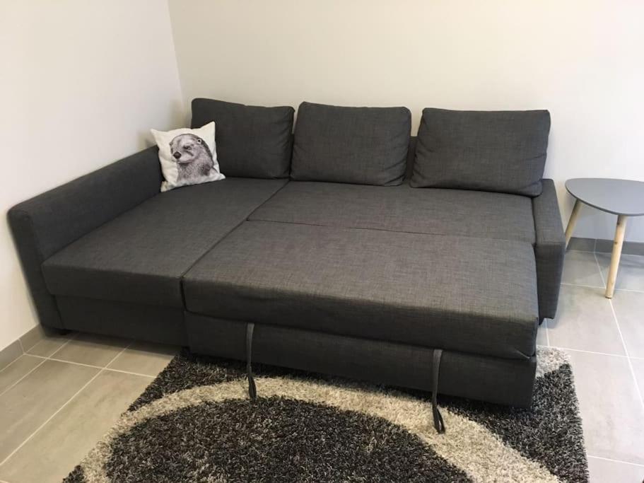 Comfortable, Cozy, Chill, Spacious, Near Cathedral Apartment Reims